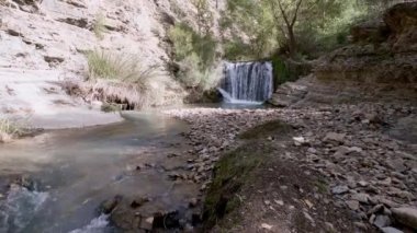 Şelale bir tarafta küçük kayalık diğer ağaçlarla birlikte tırmanıyor.