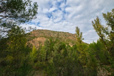Ormanın sonbahar manzarası dağlar ve bulutlu gökyüzünün arka planına karşı