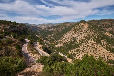Ormanın sonbahar manzarası dağlar ve bulutlu gökyüzünün arka planına karşı