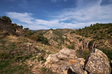 Ormanın sonbahar manzarası dağlar ve bulutlu gökyüzünün arka planına karşı