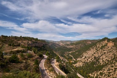 Ormanın sonbahar manzarası dağlar ve bulutlu gökyüzünün arka planına karşı