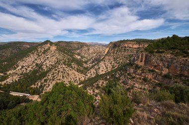 Ormanın sonbahar manzarası dağlar ve bulutlu gökyüzünün arka planına karşı