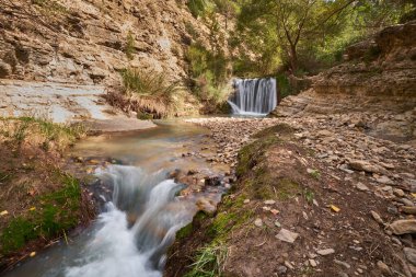 Sonbahar ormanında küçük bir şelale ve bir dağ nehri.