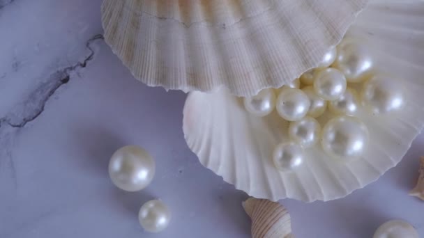 白色珍珠和白色大理石外壳 — 图库视频影像