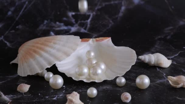 動きの遅い白い真珠が黒い大理石の背景の殻に落ち — ストック動画