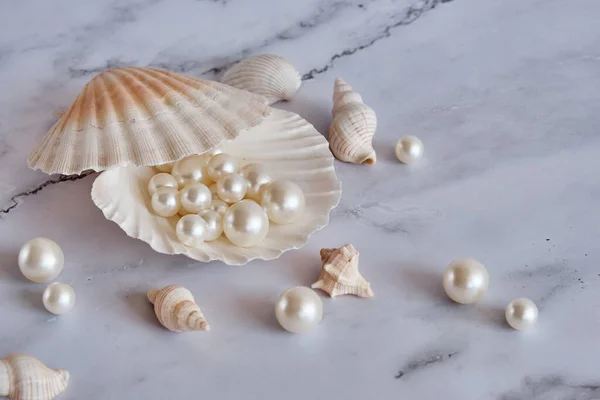 several white pearls in a shell on a marble background