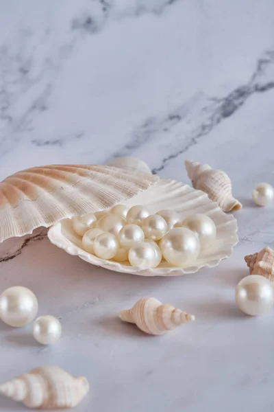 several white pearls in a shell on a marble background