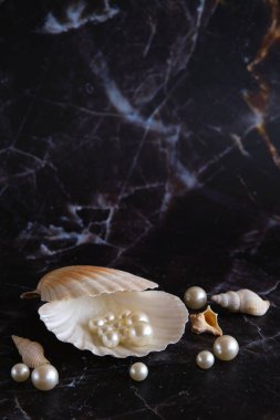 Bir kabuktaki birkaç beyaz inci, siyah mermerden bir arka plana karşı.