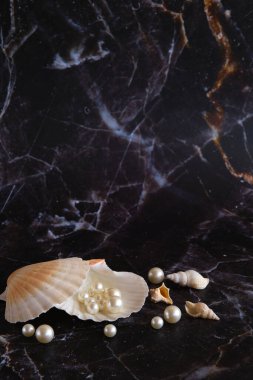 Bir kabuktaki birkaç beyaz inci, siyah mermerden bir arka plana karşı.