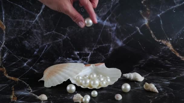 女性の手で真珠を貝殻に入れ — ストック動画