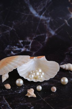 Bir kabuktaki birkaç beyaz inci, siyah mermerden bir arka plana karşı.