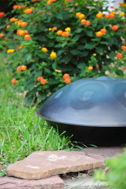 Bahçedeki çimlere asmak ya da perende atmak