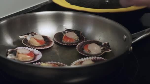 Вкусные Аппетитные Гребешки Раковинах Готовятся Сковороде Источник Белка — стоковое видео