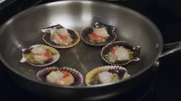 Heerlijke Smakelijke Sint Jakobsschelpen Schelpen Worden Gekookt Een Koekenpan Bron — Stockvideo