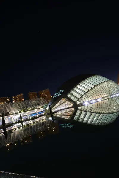 Stadsbild Stad Vetenskap Och Konst Valencia 2023 — Stockfoto