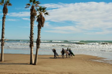 Sahilde sörf tahtası olan bir grup sörfçü dalgaların arka planında