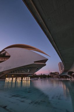 Valencia 'nın amblemi... 30-08-2023... yumuşak günbatımı aydınlığında bilim ve sanat şehri...