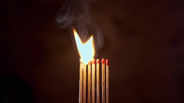 Egy Sor Égő Gyufa Lángokba Borítva Sötét Háttérrel — Stock videók