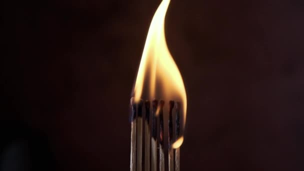 一排点燃的火柴在黑暗的背景下被火焰吞没了 — 图库视频影像