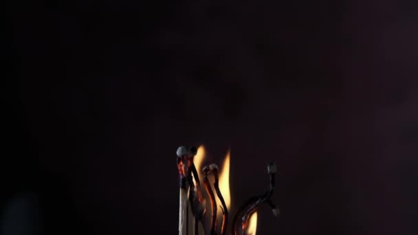 暗い背景に炎に包まれた一連のライトマッチ — ストック動画