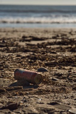 Plaj ekolojisinin kumları üzerindeki plastik çöpler tehlikede.