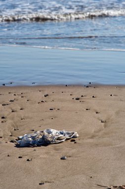 Plaj ekolojisinin kumları üzerindeki plastik çöpler tehlikede.