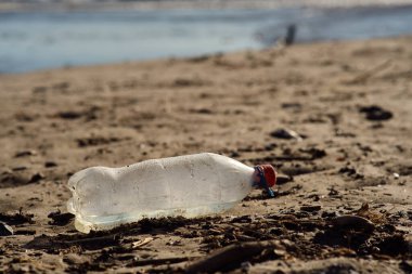 Plaj ekolojisinin kumları üzerindeki plastik çöpler tehlikede.