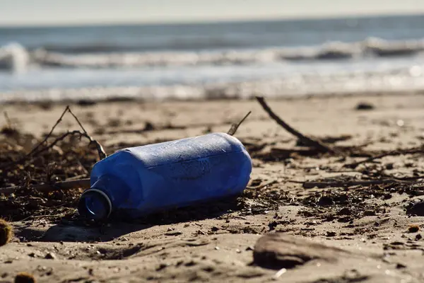 Plaj ekolojisinin kumları üzerindeki plastik çöpler tehlikede.