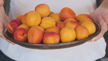 Bir tabak olgun, iştah açıcı sarı kayısısı olan bir kız.