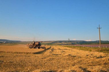 Bir biçerdöver tarlada buğday hasat eder altın saatte çekilmiş bir resimde.