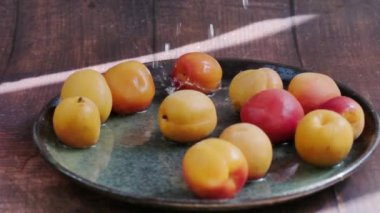 Kayısı kaydırağında su damlıyor.