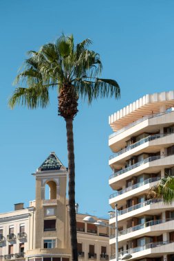 şehir mimarisi palmiyesi antik ve modern binalar mavi gökyüzü arka planına karşı, Valencia şehri İspanya