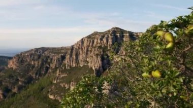 Gün batımı manzaralı dağ manzarası