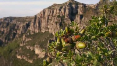Gün batımı manzaralı dağ manzarası