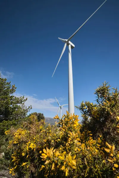 Mavi gökyüzüne karşı bir ormanın yeşiliyle çevrili bir rüzgar türbini.
