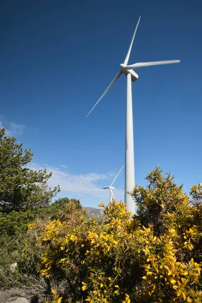 Mavi gökyüzüne karşı bir ormanın yeşiliyle çevrili bir rüzgar türbini.