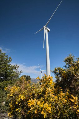 Mavi gökyüzüne karşı bir ormanın yeşiliyle çevrili bir rüzgar türbini.