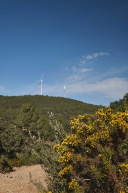 Dağların arka planında çeşitli rüzgar türbinleri var.