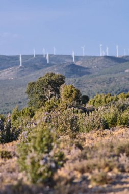 Dağların arka planında çeşitli rüzgar türbinleri var.