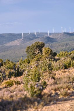 Dağların arka planında çeşitli rüzgar türbinleri var.