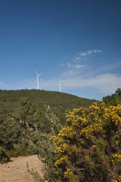Dağların arka planında çeşitli rüzgar türbinleri var.