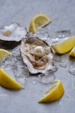 Gri bir arka planda buzun üzerinde içinde beyaz bir inci olan bir istiridye.