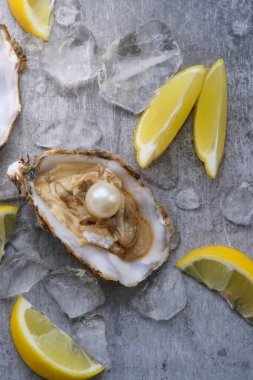 Gri bir arka planda buzun üzerinde içinde beyaz bir inci olan bir istiridye.