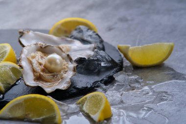 Gri bir arka planda buzun üzerinde içinde beyaz bir inci olan bir istiridye.