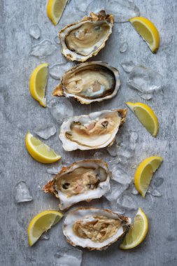 Açık istiridye ve limon.