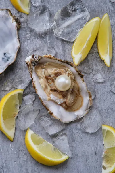 Gri bir arka planda buzun üzerinde içinde beyaz bir inci olan bir istiridye.