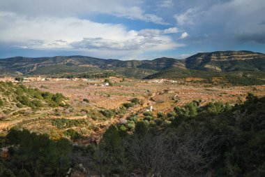 Dağdan aşağıya, güzel yerlere, bulutların içindeki gökyüzüne