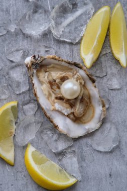 Gri bir arka planda buzun üzerinde içinde beyaz bir inci olan bir istiridye.