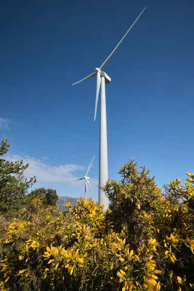 Mavi gökyüzüne karşı bir ormanın yeşiliyle çevrili bir rüzgar türbini.