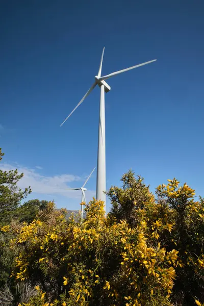 Mavi gökyüzüne karşı bir ormanın yeşiliyle çevrili bir rüzgar türbini.
